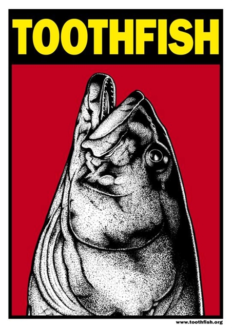 Toothfish Under Fire